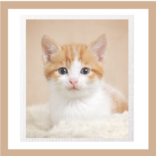 25 x Print Your CAT PHOTO on Swedish Cloths
