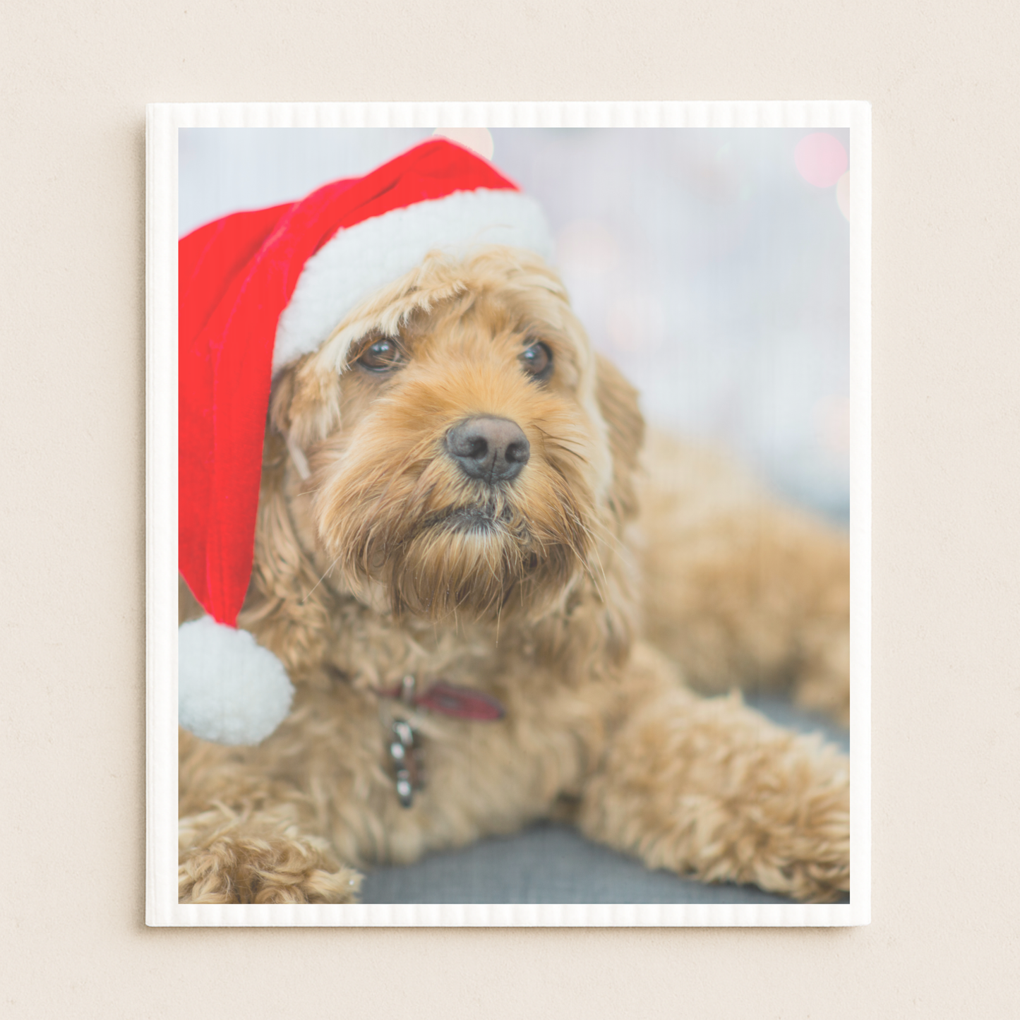 25 x Print Your DOG PHOTO on Swedish Cloths