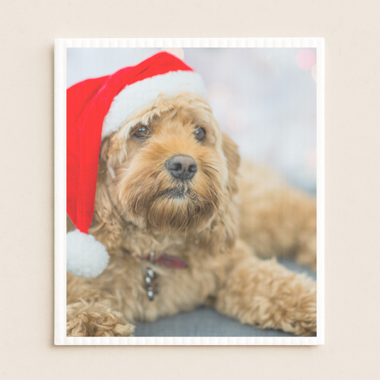 25 x Print Your DOG PHOTO on Swedish Cloths